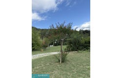 Le Tech, Languedoc-Roussillon 66230