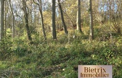 L'Isle-Adam, Val-d'Oise 95290