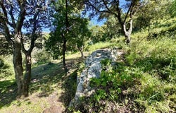 Monticello, Corsica 20220