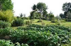 FLEURANCE, Occitanie 32500