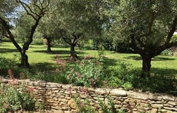 Puyvert, Provence-Alpes-Côte d'Azur 84160