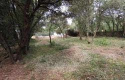 Uzès, Gard 30700