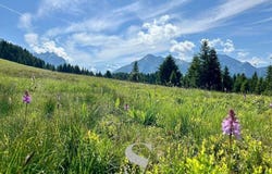 La Clusaz, Haute-Savoie 74220
