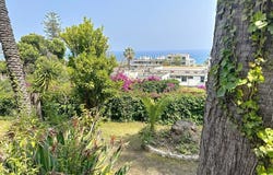 Menton, Provence-Alpes-Côte d'Azur 06500