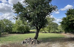 Ingrandes, Indre