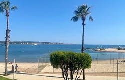 Bandol, Provence-Alpes-Côte d'Azur 83150