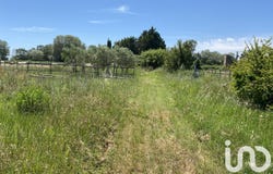 SAINT-LAURENT D'AIGOUZE, Occitanie 30220