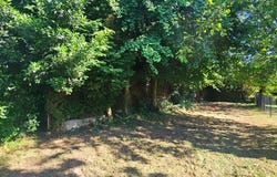Parigné, Brittany 35133
