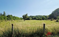 Neuvelle-lès-Voisey, Grand Est 52400