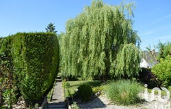Saint-Georges-sur-Baulche, Bourgogne-Franche-Comté 89000