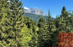 Combloux, Auvergne-Rhône-Alpes 74920