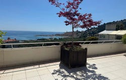 Menton, Provence-Alpes-Côte-d'Azur 06500