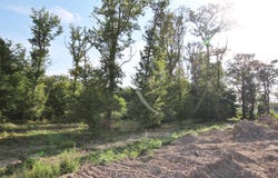 CELLETTES, Centre-Val de Loire 41120