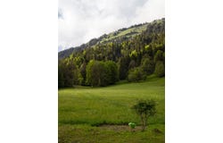 MORZINE HH-15803583, Morzine, Auvergne-Rhône-Alpes 74110