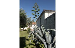 Cognac, Poitou-Charentes 16100