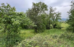 Saint-Alban-Auriolles, Ardèche 07120