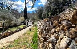 Rians, Provence-Alpes-Côte d'Azur 83560