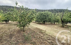Reynès, Languedoc-Roussillon 66400