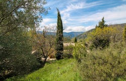 Montbrun-les-Bains, Rhône-Alpes 26570