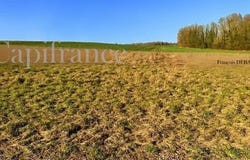 MOURMELON LE GRAND, Champagne-Ardenne 51400