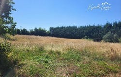 Champvans, Franche-Comté 39100