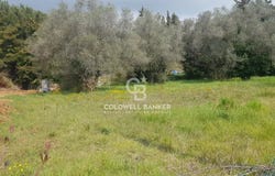 Le Cannet, Alpes-Maritimes 06110