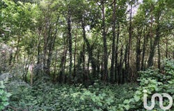 Saint-Jacut-les-Pins, Brittany 56220