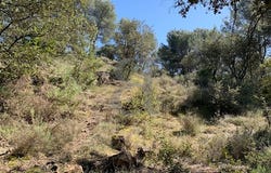 Vaison-la-Romaine, Provence-Alpes-Côte d'Azur 84110