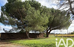 Lussac, Nouvelle-Aquitaine 33570