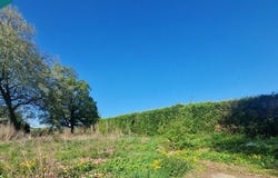 Pierrepont, Lorraine 54620