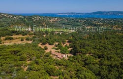 Grimaud, Provence-Alpes-Côte-d'Azur 83310