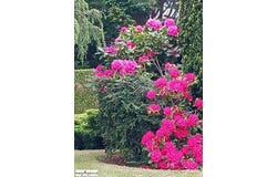 Neuilly-Sur-Eure, Basse-Normandie 61290