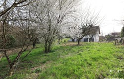 Besançon, Franche-Comté 25000
