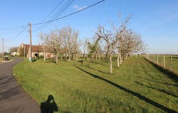 MONTEAUX, Centre-Val de Loire 41150