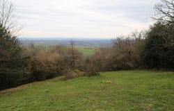 Dettey, Burgundy 71190