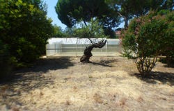 Alignan-du-Vent, Languedoc-Roussillon 34290