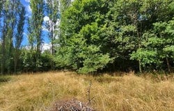 Pleumartin, Poitou-Charentes 86450