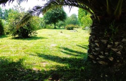 Plouhinec, Brittany 29780