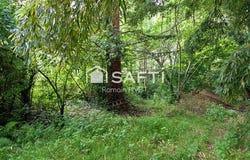 Rouans, Pays de la Loire 44640