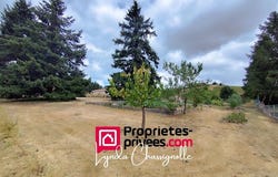 Saint-André-d'Apchon, Auvergne-Rhône-Alpes 42370