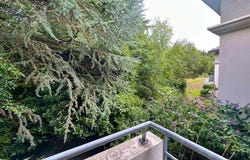 Locminé, Brittany 56500
