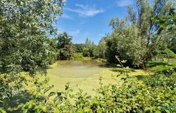 Saint-Germain-du-Plain, Burgundy 71370
