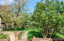 Contres, Centre-Val de Loire 41700