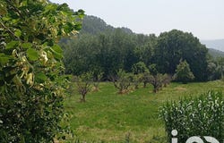 Buis-les-Baronnies, Auvergne-Rhône-Alpes 26170