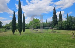 Sainte-Cécile-les-Vignes, Provence-Alpes-Côte d'Azur 84290