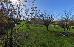 Castillon-de-Saint-Martory, Haute-Garonne 31360
