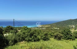 Corbara, Corsica 20256
