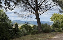 Limoux, Languedoc-Roussillon 11300