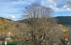 SAUCLIERES, Occitanie 12230