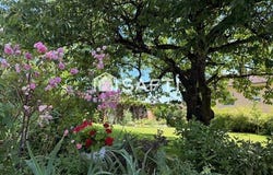 Charnay-Les-Macon, Bourgogne 71850